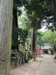 日吉神社(千葉県)