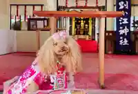 別小江神社の動物