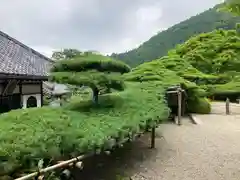 善峯寺(京都府)