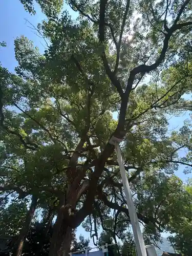 高忍日賣神社(愛媛県)