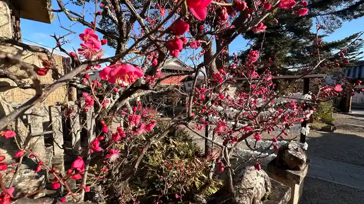 菅原天満宮(菅原神社)(奈良県)