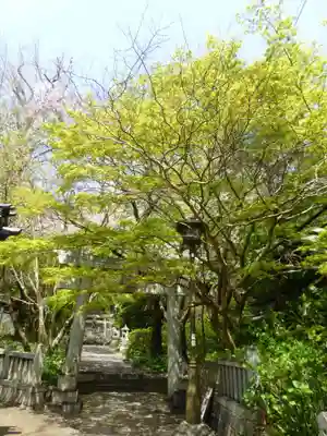 稲荷神社(山口県)