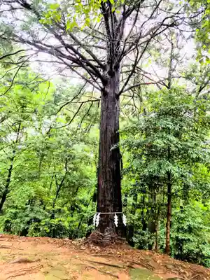 熊野神社(山口県)
