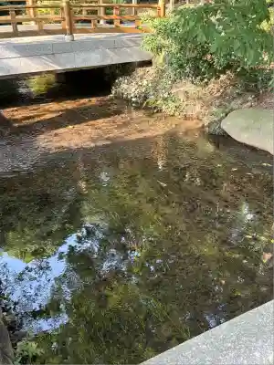 新発田諏訪神社(新潟県)