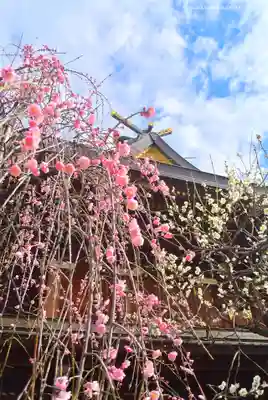 湯島天満宮(東京都)