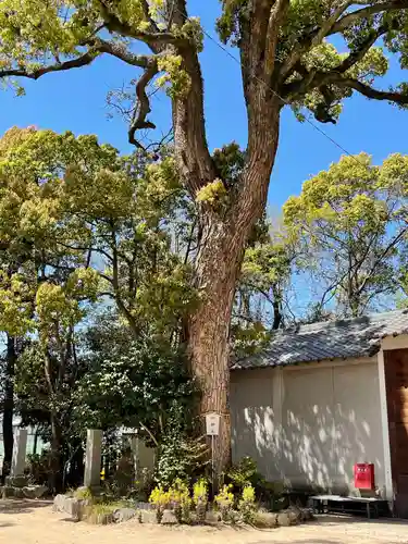 生瀬皇太神社の自然