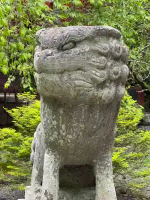 山中浅間神社の狛犬