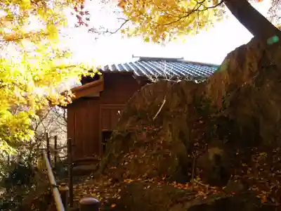 行道山 浄因寺(栃木県)