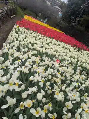 泉蔵寺(神奈川県)
