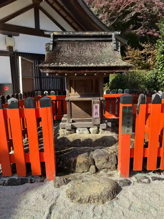賀茂別雷神社(上賀茂神社)(京都府)