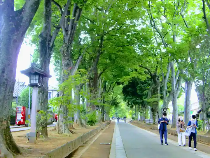 武蔵一宮氷川神社の周辺