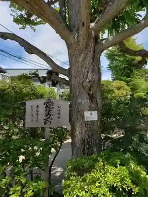 密蔵寺のその他建物