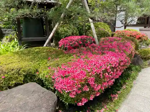 正覚寺(東京都)