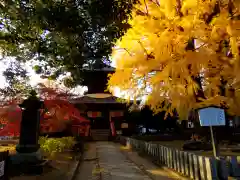 鑁阿寺の建物その他