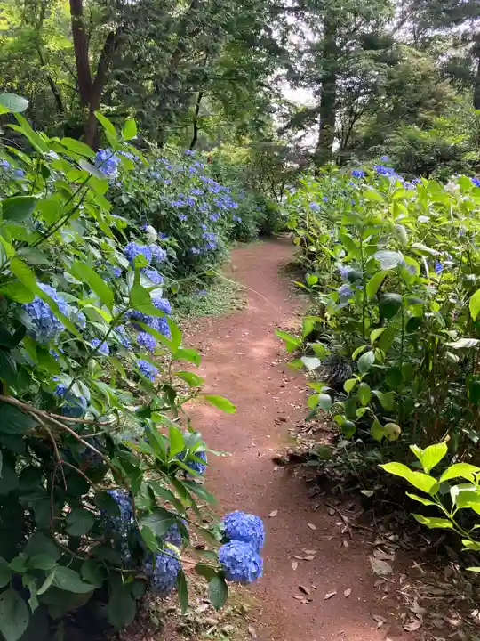 大宝八幡宮(茨城県)
