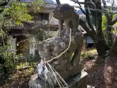 坂本八幡神社の狛犬