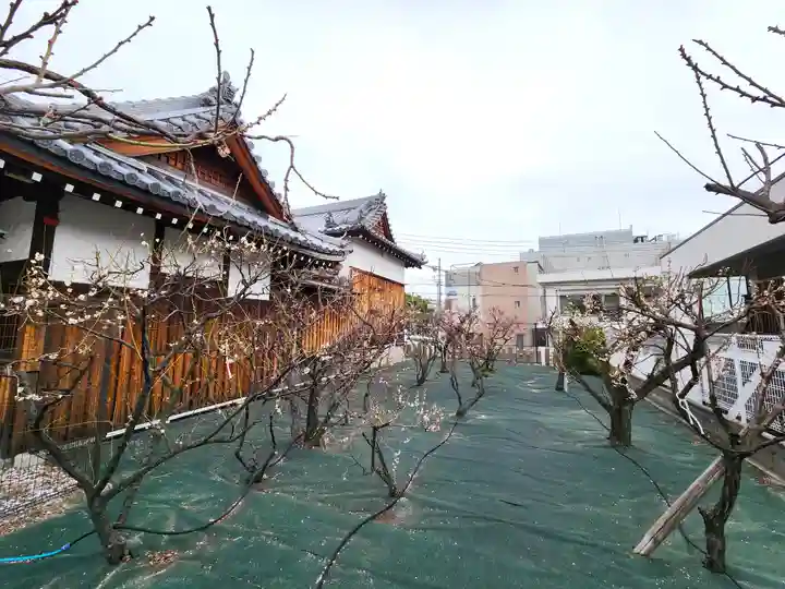 長洲天満宮の自然