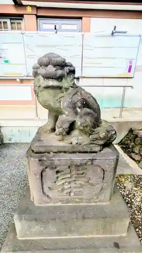 北澤八幡神社の狛犬