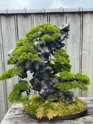 芳春院(京都府)