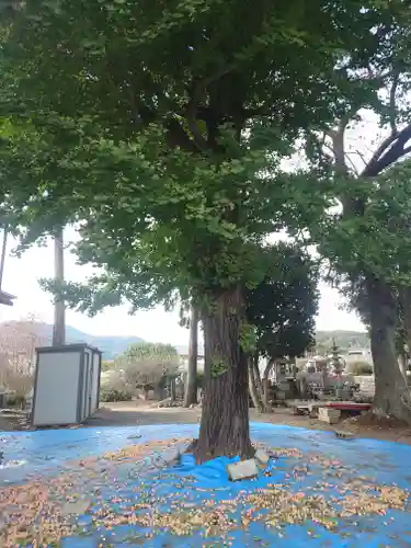 極楽寺(埼玉県)