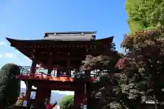 長圓寺の建物その他