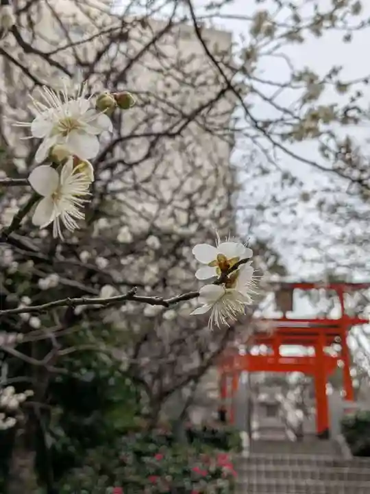 銀世界稲荷神社(東京都)