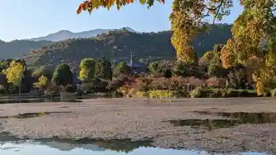 大覚寺(京都府)