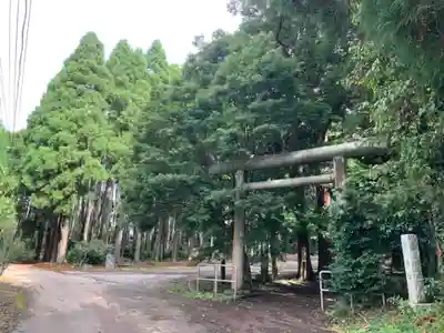 縣神社(千葉県)