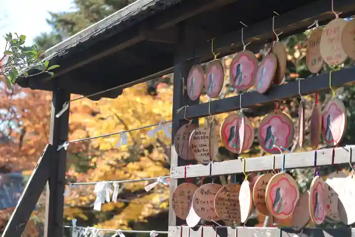 隨心院(随心院)の絵馬