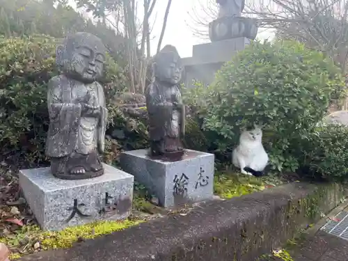 御誕生寺（猫寺）(福井県)