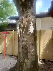 蛇窪神社(東京都)