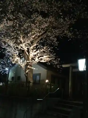 明治神宮の自然