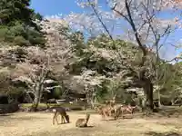大元神社(厳島神社境外摂社)の庭園
