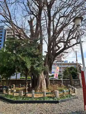 磐井神社(東京都)