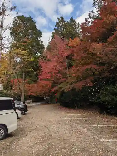 大矢田神社の自然