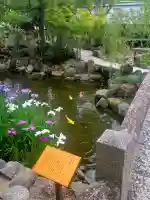 西宮神社(兵庫県)