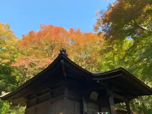 普門寺(切り絵御朱印発祥の寺)の本殿・本堂