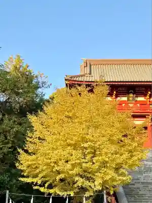 鶴岡八幡宮(神奈川県)
