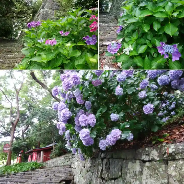 久能山東照宮の自然