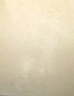 御園神社(東京都)