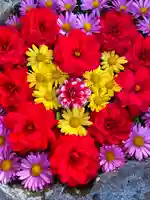 伊達神社の手水舎