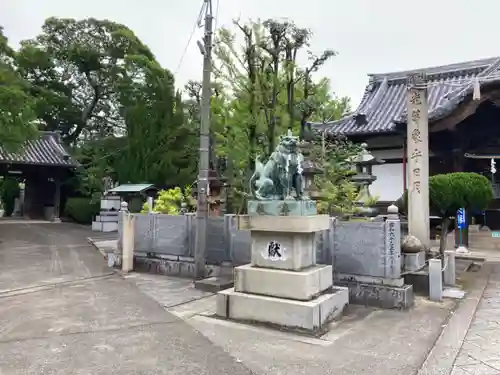 川之江八幡神社の狛犬