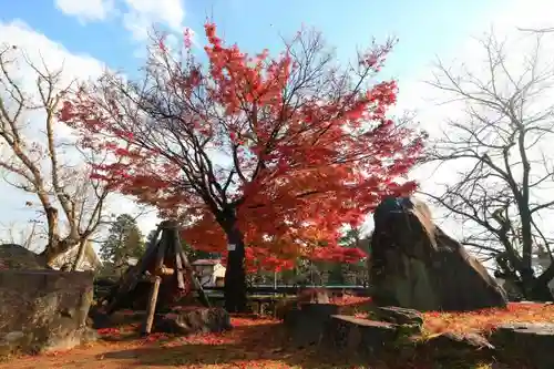 上杉神社の自然