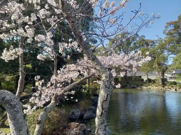 宗像大社(福岡県)
