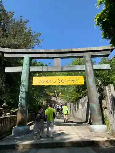 金刀比羅宮の鳥居