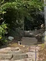飯盛神社(長崎県)