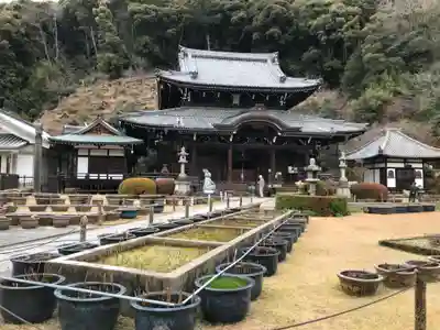 三室戸寺(京都府)