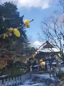 沙沙貴神社の自然(2021年12月21日(火) 10時51分18秒投稿)