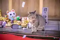 正一位 若草稲荷神社(宮城県)