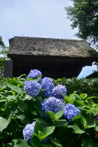 極楽寺（霊鷲山感應院極楽律寺）の庭園